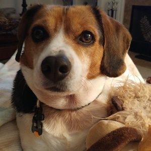 Meet your Posher, Wendy